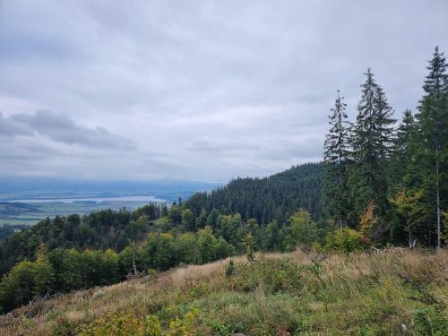 campery asone - WhatsApp Image 2021-11-04 at 13.11.30 (3)